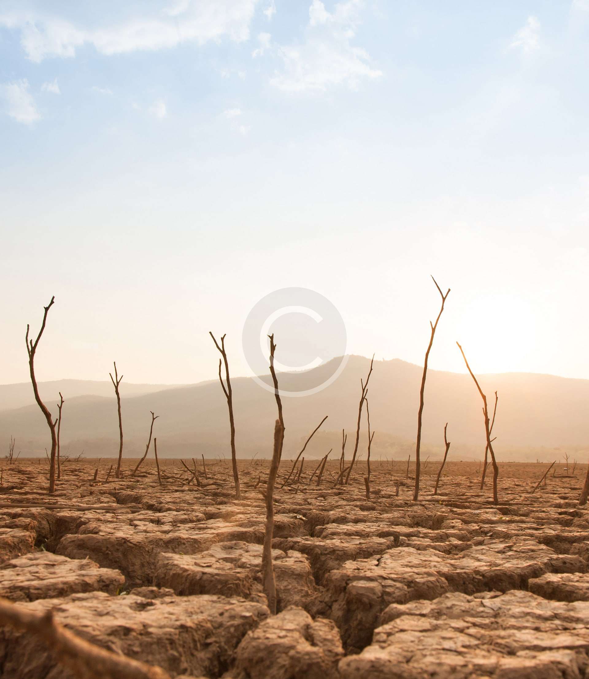 Restoring Social Services & Climate Resilience – Umerkot